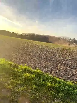 SoftAmjad online show from April 8, 5:46 pm