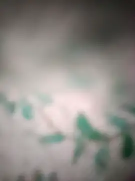 King night1 online show from March 25, 10:05 pm