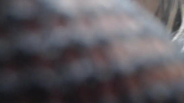 Britanylovee online show from March 27, 2:50 pm