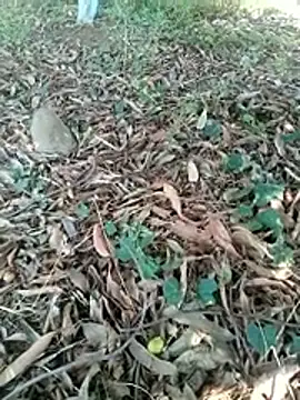 new sexy couple online show from April 7, 7:20 am