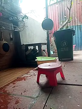 Leylin 1 online show from March 23, 6:06 am