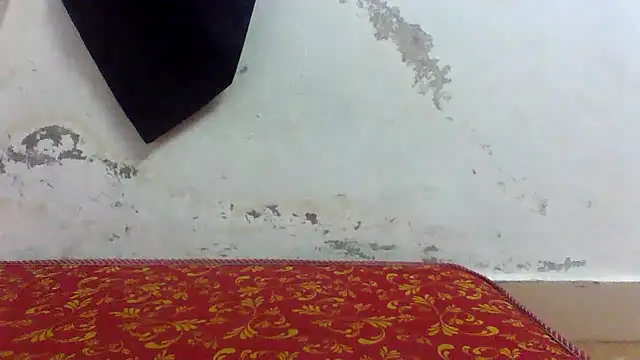 Nhlax22 online show from April 4, 4:00 am