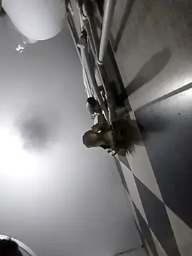 luys23 online show from April 4, 3:05 am