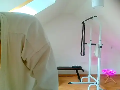 NinjaLaser online show from April 13, 11:27 am