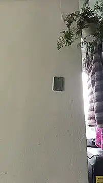 La-venus online show from April 13, 2:00 pm