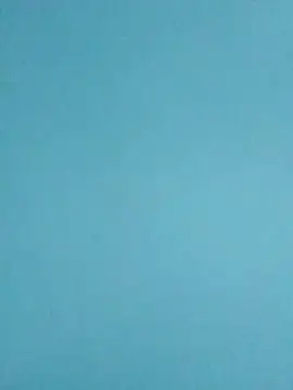 PrimBee online show from April 17, 11:19 pm