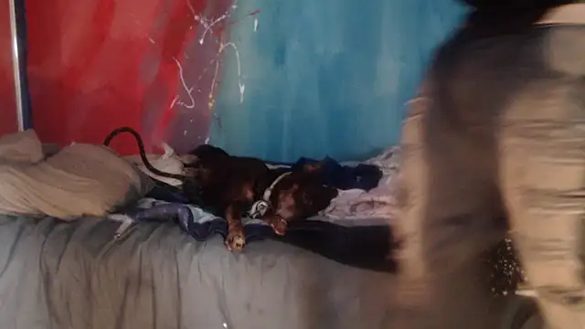 punkyslut69 online show from April 14, 6:25 pm