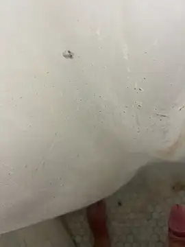 Jacobhj online show from April 20, 7:48 pm