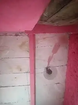 Mona ji32 online show from April 3, 3:32 pm