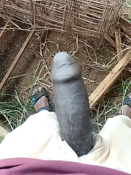 sanju 5418 online show from April 11, 6:18 am