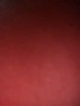 leidi-95- online show from April 7, 3:34 pm