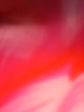 Ron 0101 online show from April 21, 7:06 pm