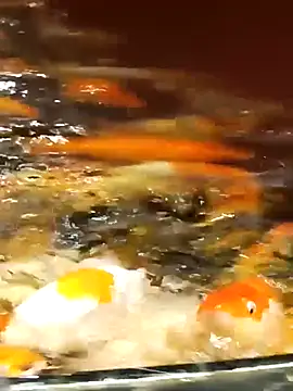 Enmy 24 online show from April 12, 12:54 pm