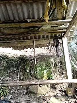 NIANIAKUTE online show from April 6, 1:47 am