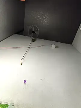 my33verything online show from March 18, 2:09 pm