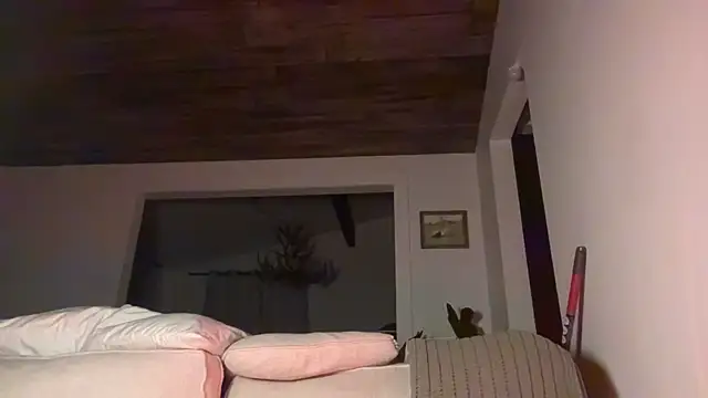 DylanBrook online show from June 1, 4:58 am