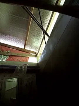 -Tiduta- online show from March 29, 4:56 am