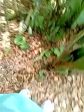 SabrinaVantress online show from April 3, 7:23 pm