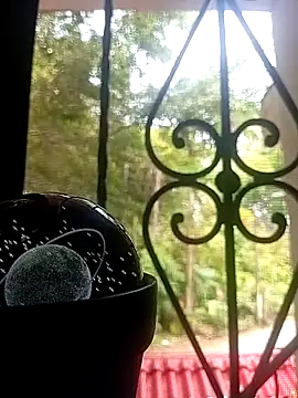 SabrinaVantress online show from April 6, 4:52 pm