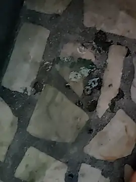 diljaan51 online show from March 26, 4:40 am