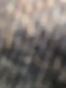 Anitta  LS online show from April 2, 8:06 pm