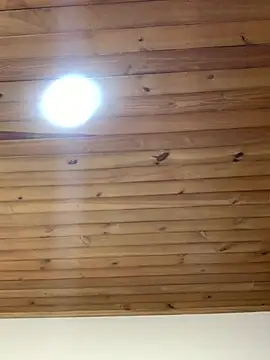 -Zoe Jack- online show from April 8, 12:49 pm