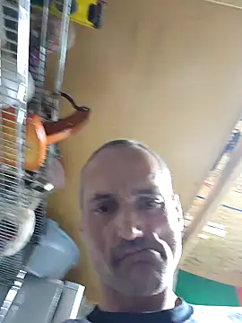 Brunogramata online show from March 20, 3:44 am