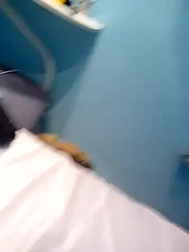 Negaopeludodom online show from April 11, 2:16 am