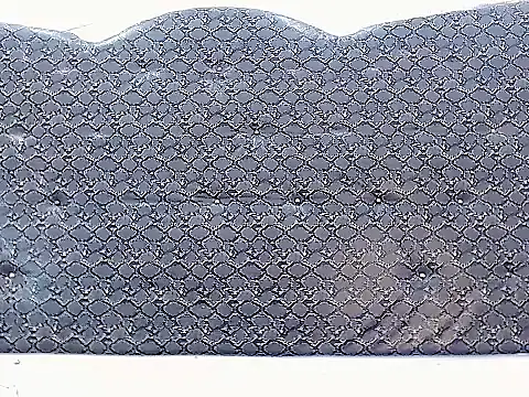 Salome bichtxx online show from April 10, 6:45 pm