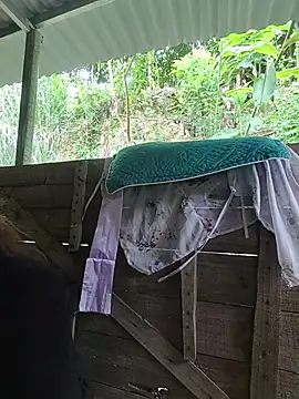 Ruby Lucy online show from July 5, 5:25 am