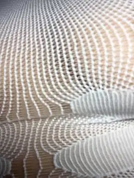 Jill valen online show from April 15, 7:37 am