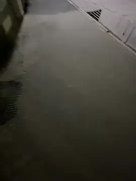 Wildlovee online show from April 12, 8:58 pm