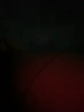 Valerials online show from April 14, 7:25 am