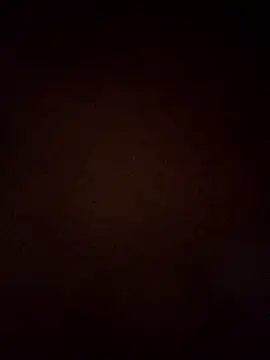 VENUSH STYLO online show from March 31, 4:40 pm