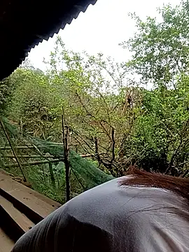 meg 06 online show from March 27, 12:16 am