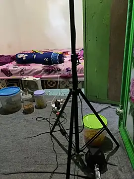 tukangcoli31 online show from April 13, 12:05 am