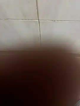 SingleBoy66666 online show from April 6, 6:47 am