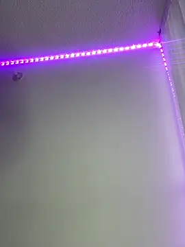 LYAN DYLAN online show from April 4, 10:51 pm