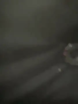 Lola666999 online show from April 5, 2:25 pm