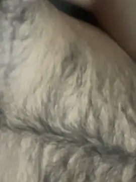 TurkishBoyzs online show from April 11, 7:29 pm