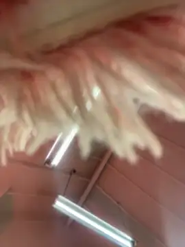 Victoria Vega   online show from April 17, 12:30 pm