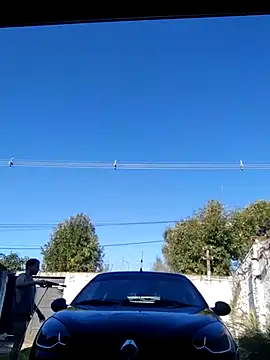 Switzerland32 online show from April 12, 8:58 pm