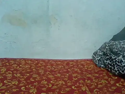 Rato250 online show from April 8, 6:41 pm