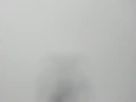 Alejandra and James  online show from March 29, 11:21 am