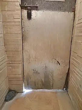 saura545 online show from April 12, 3:00 am