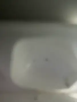 scarlett turner  online show from April 9, 2:33 am