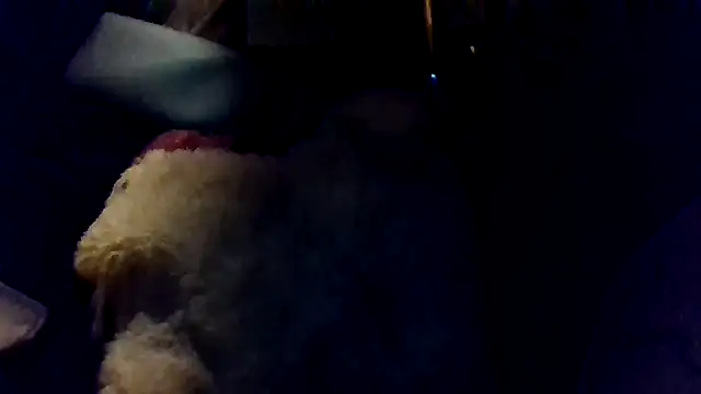 Snapshot of shag369 chatting on April 30, 5:36 am shag369 online show from April 30, 5:36 am