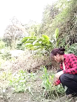 Giang-mylove online show from April 4, 2:32 am