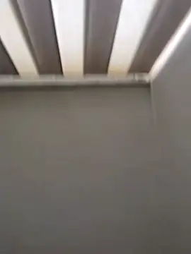 maia lion online show from April 16, 5:47 pm