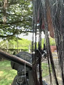 SofiParma online show from March 31, 7:25 pm